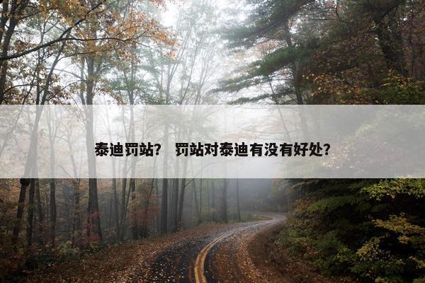 泰迪罚站？ 罚站对泰迪有没有好处？