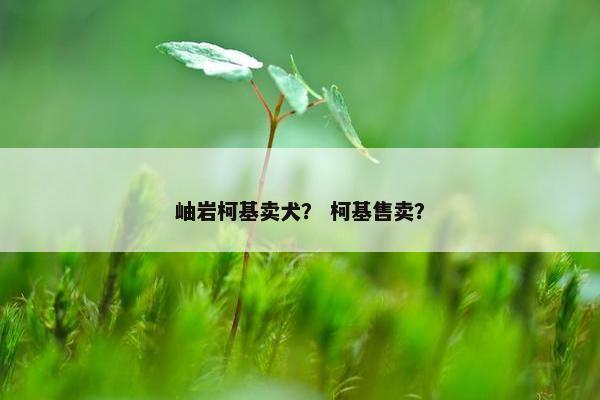 岫岩柯基卖犬？ 柯基售卖？