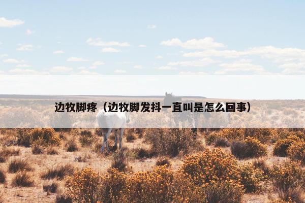 边牧脚疼（边牧脚发抖一直叫是怎么回事）