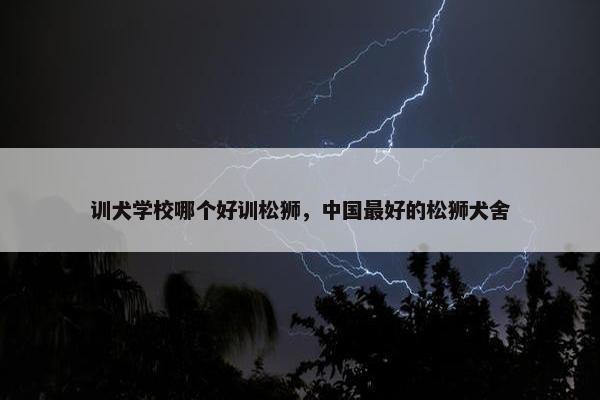 松狮 第16页