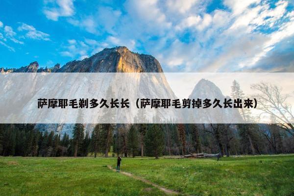 萨摩耶毛剃多久长长（萨摩耶毛剪掉多久长出来）