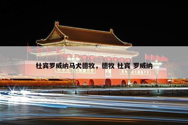 杜宾罗威纳马犬德牧，德牧 杜宾 罗威纳