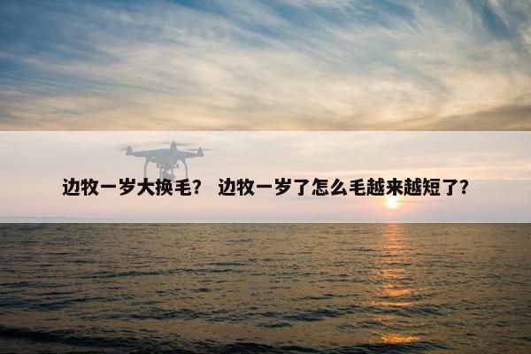 边牧一岁大换毛？ 边牧一岁了怎么毛越来越短了？