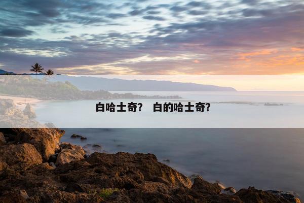 白哈士奇？ 白的哈士奇？