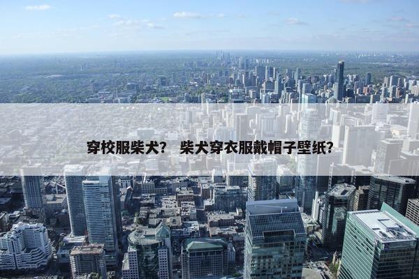 穿校服柴犬？ 柴犬穿衣服戴帽子壁纸？