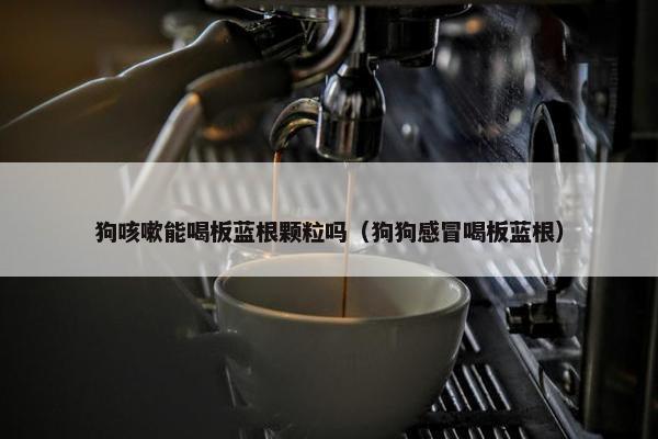 狗咳嗽能喝板蓝根颗粒吗（狗狗感冒喝板蓝根）