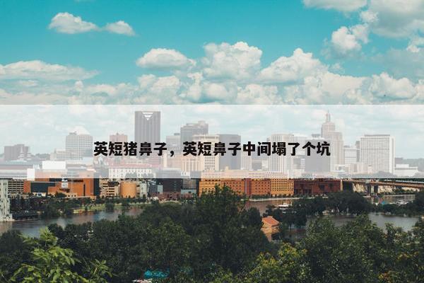 英短猪鼻子,英短鼻子中间塌了个坑