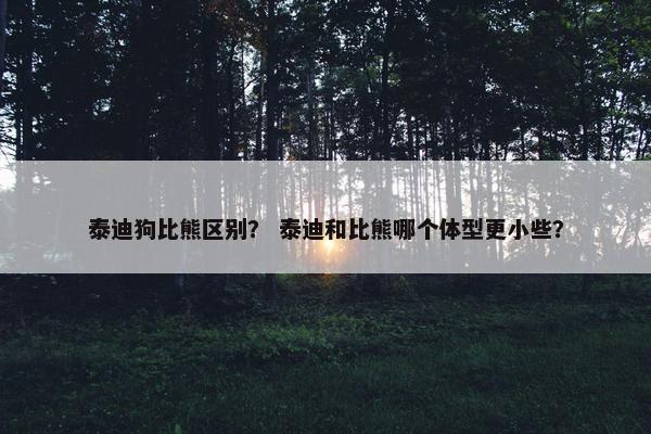泰迪狗比熊区别？ 泰迪和比熊哪个体型更小些？