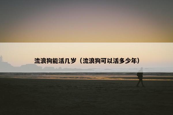 流浪狗能活几岁（流浪狗可以活多少年）