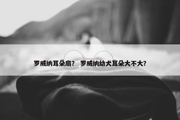 罗威纳耳朵扇？ 罗威纳幼犬耳朵大不大？