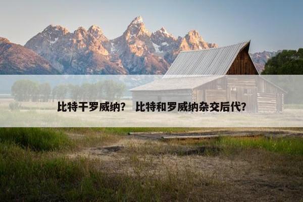 比特干罗威纳? 比特和罗威纳杂交后代?