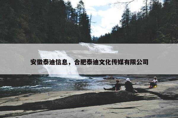 安徽泰迪信息,合肥泰迪文化传媒有限公司