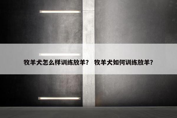 牧羊犬怎么样训练放羊？ 牧羊犬如何训练放羊？