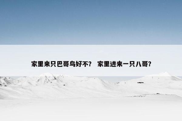 家里来只巴哥鸟好不？ 家里进来一只八哥？