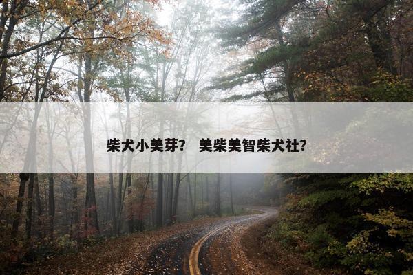 柴犬小美芽? 美柴美智柴犬社?
