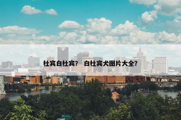 杜宾白杜宾？ 白杜宾犬图片大全？