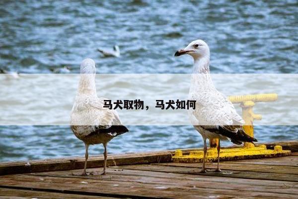 马犬取物，马犬如何
