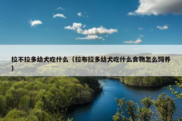 拉不拉多幼犬吃什么（拉布拉多幼犬吃什么食物怎么饲养）