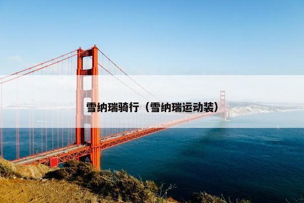 雪纳瑞骑行（雪纳瑞运动装）