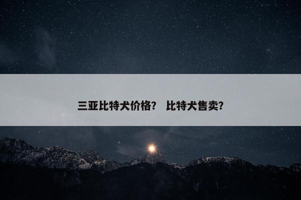三亚比特犬价格？ 比特犬售卖？