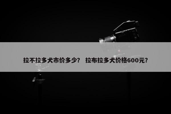拉不拉多犬市价多少？ 拉布拉多犬价格600元？