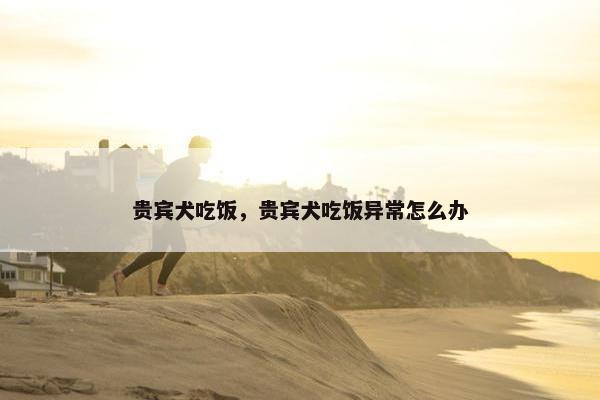 贵宾犬吃饭，贵宾犬吃饭异常怎么办