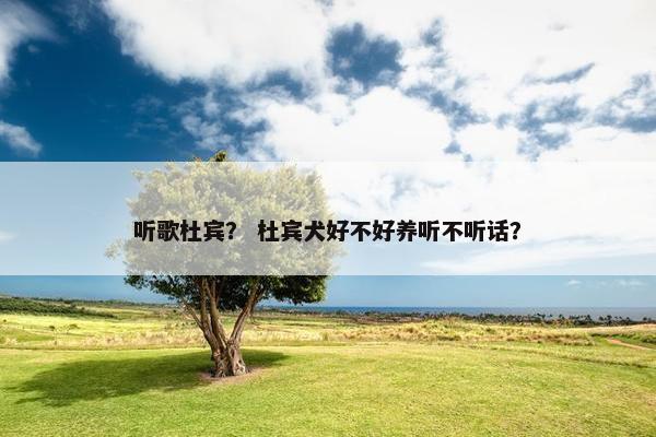 听歌杜宾? 杜宾犬好不好养听不听话?