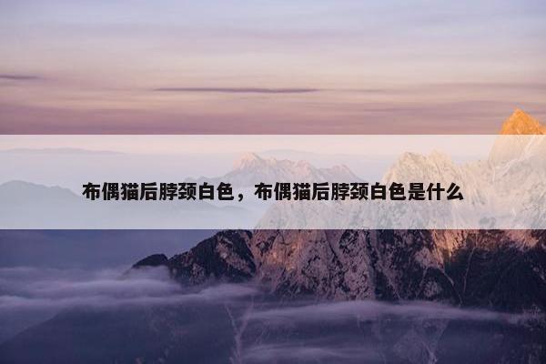布偶猫后脖颈白色，布偶猫后脖颈白色是什么