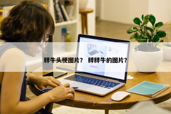 胖牛头梗图片？ 胖胖牛的图片？