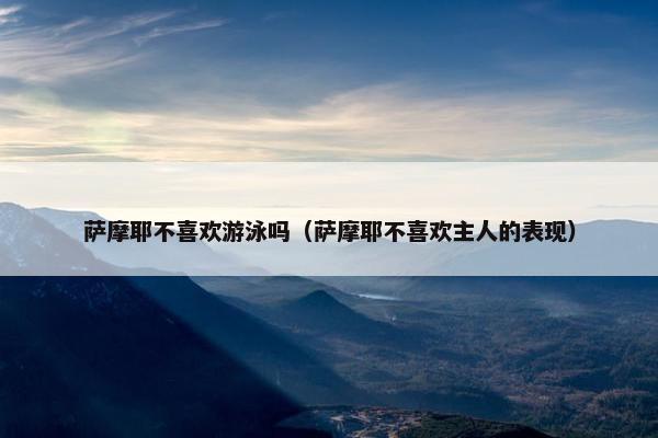 萨摩耶不喜欢游泳吗(萨摩耶不喜欢主人的表现)