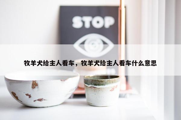 牧羊犬给主人看车,牧羊犬给主人看车什么意思