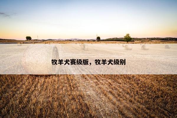 牧羊犬赛级版，牧羊犬级别