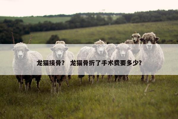 龙猫接骨？ 龙猫骨折了手术费要多少？