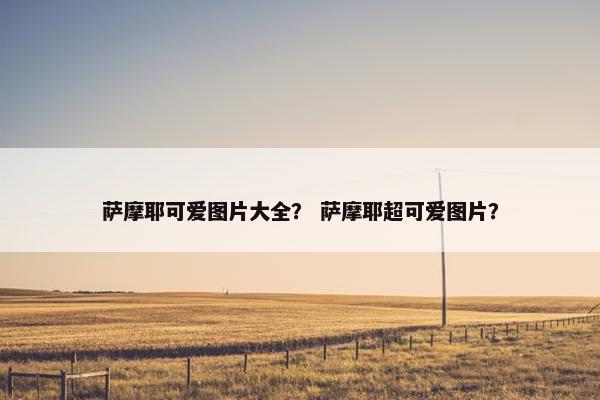 萨摩耶可爱图片大全？ 萨摩耶超可爱图片？