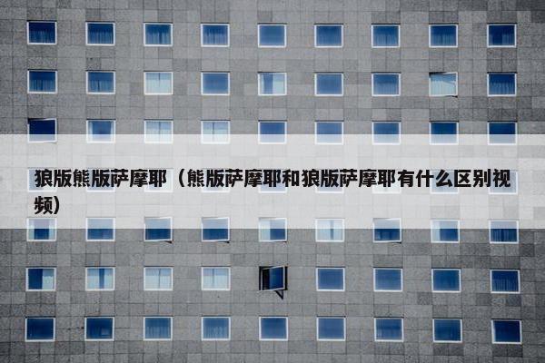 狼版熊版萨摩耶(熊版萨摩耶和狼版萨摩耶有什么区别视频)