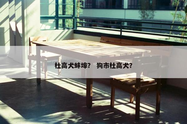 杜高犬蚌埠? 狗市杜高犬?