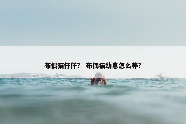 布偶猫仔仔？ 布偶猫幼崽怎么养？