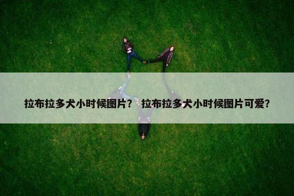 拉布拉多犬小时候图片？ 拉布拉多犬小时候图片可爱？