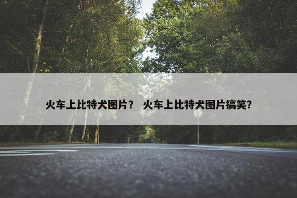 火车上比特犬图片？ 火车上比特犬图片搞笑？