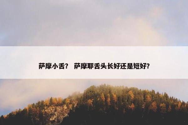 萨摩小舌？ 萨摩耶舌头长好还是短好？