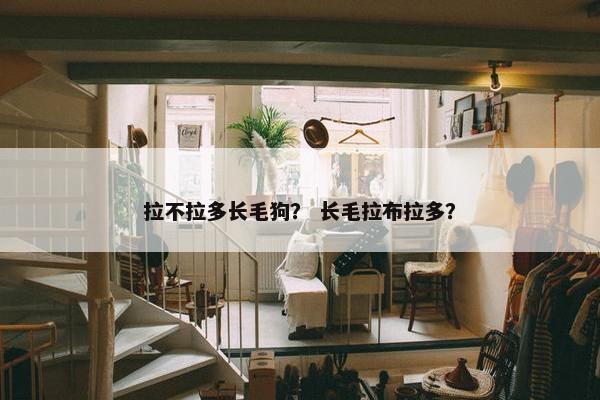 拉不拉多长毛狗? 长毛拉布拉多?