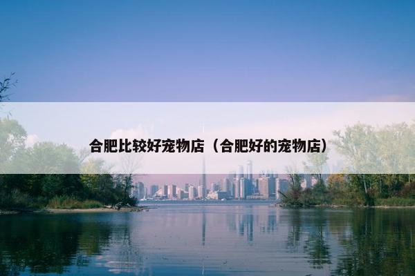 合肥比较好宠物店（合肥好的宠物店）