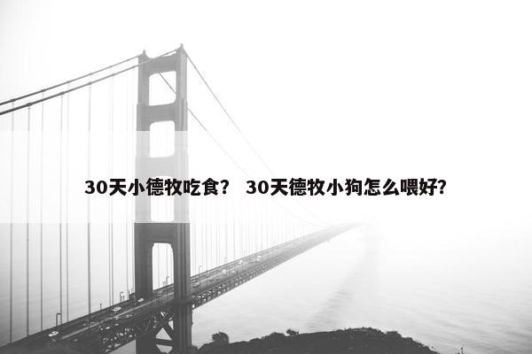 30天小德牧吃食? 30天德牧小狗怎么喂好?