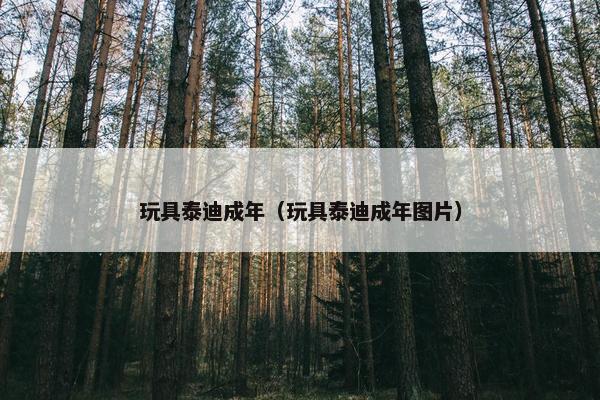 玩具泰迪成年（玩具泰迪成年图片）