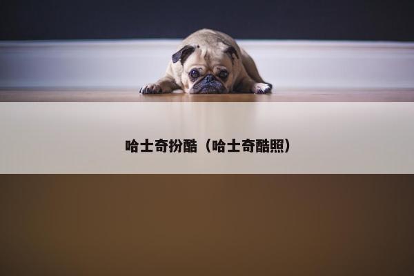 哈士奇扮酷（哈士奇酷照）