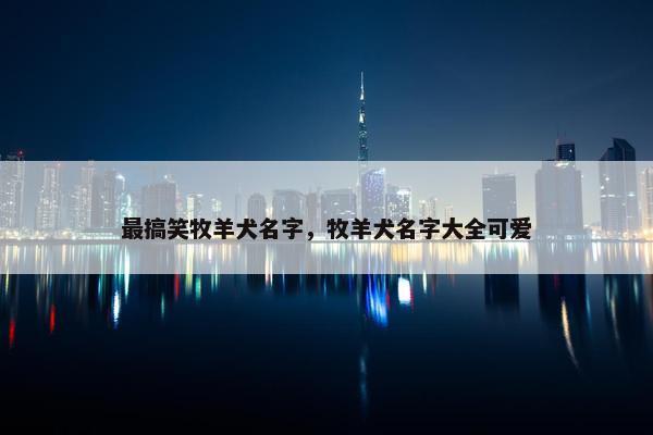 最搞笑牧羊犬名字，牧羊犬名字大全可爱