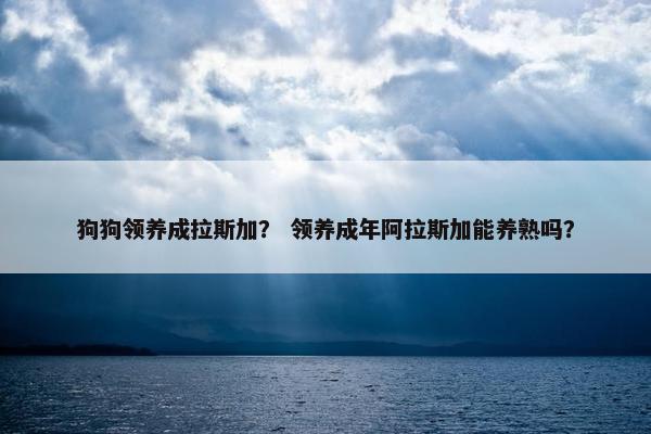 狗狗领养成拉斯加？ 领养成年阿拉斯加能养熟吗？