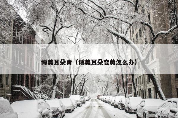 博美耳朵青（博美耳朵变黄怎么办）