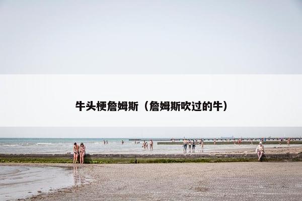 牛头梗詹姆斯（詹姆斯吹过的牛）