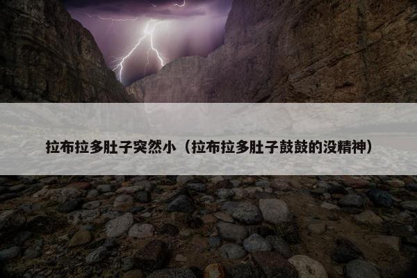 拉布拉多肚子突然小（拉布拉多肚子鼓鼓的没精神）